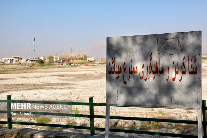 مرگ تلخ سراب نیلوفر؛ هشدار خاموش طبیعت به مدیران