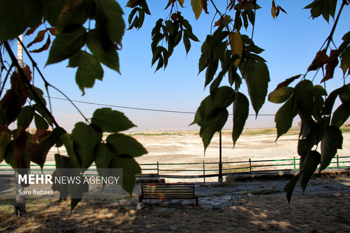 مرگ تلخ سراب نیلوفر؛ هشدار خاموش طبیعت به مدیران