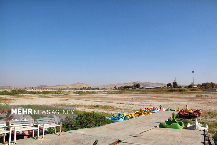 مرگ تلخ سراب نیلوفر؛ هشدار خاموش طبیعت به مدیران