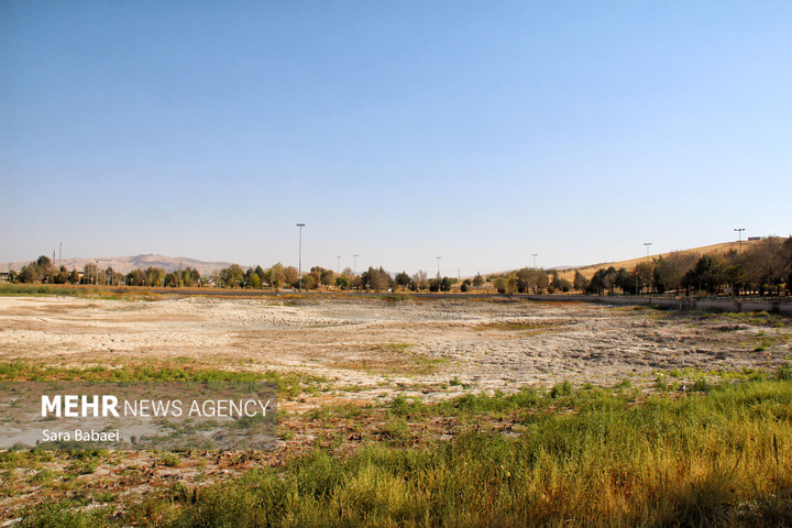 مرگ تلخ سراب نیلوفر؛ هشدار خاموش طبیعت به مدیران