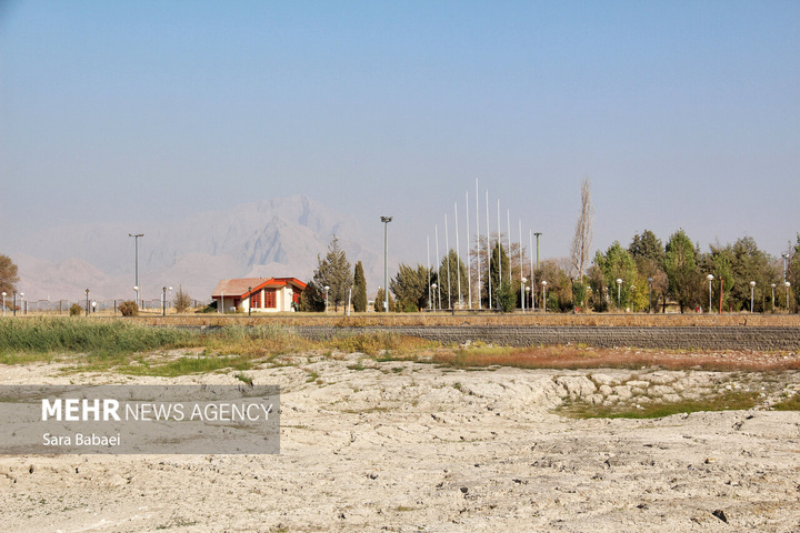 مرگ تلخ سراب نیلوفر؛ هشدار خاموش طبیعت به مدیران