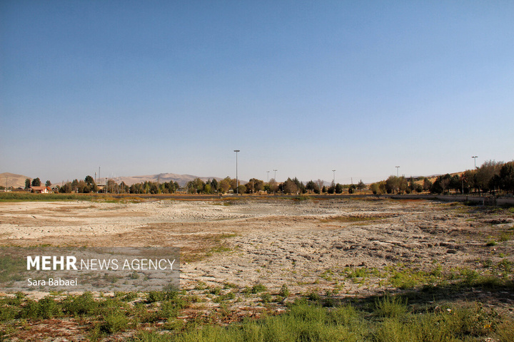 مرگ تلخ سراب نیلوفر؛ هشدار خاموش طبیعت به مدیران