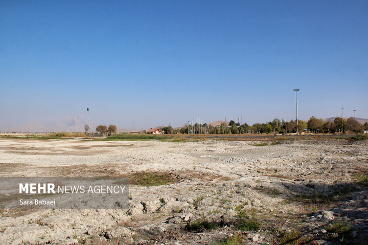 مرگ تلخ سراب نیلوفر؛ هشدار خاموش طبیعت به مدیران