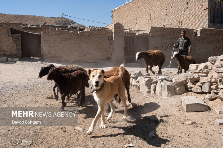 روستای چشمه پونه؛ زندگی پشت دیوارهای ترک‌خورده