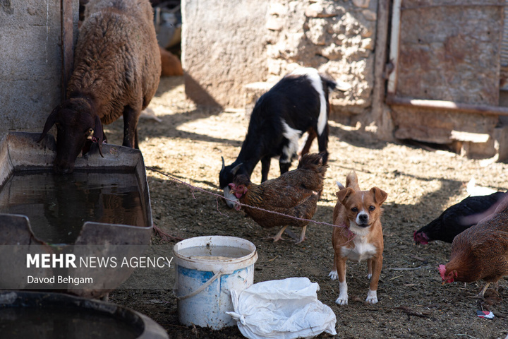 روستای چشمه پونه؛ زندگی پشت دیوارهای ترک‌خورده