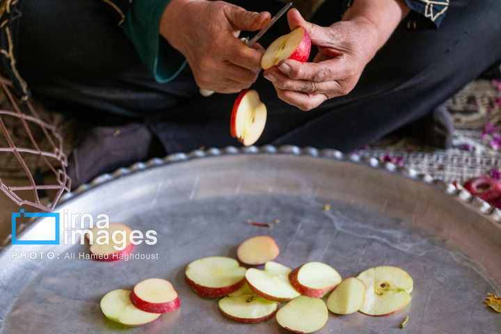 موسم پاییز؛ فصل سیب مراغه