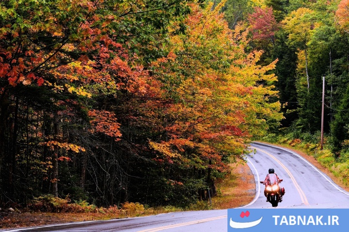 شکوه رنگ‌ها در چهار گوشه جهان