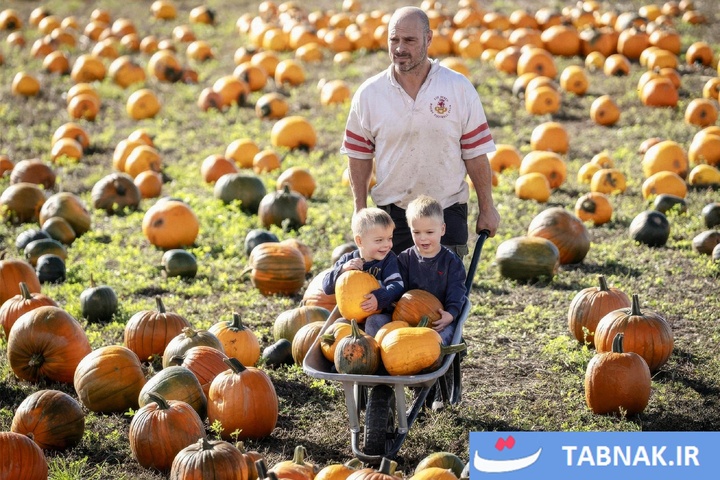 شکوه رنگ‌ها در چهار گوشه جهان