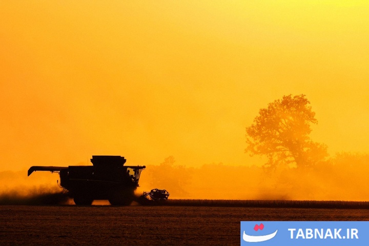 شکوه رنگ‌ها در چهار گوشه جهان