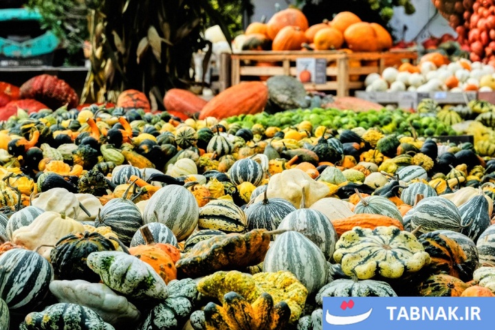 شکوه رنگ‌ها در چهار گوشه جهان