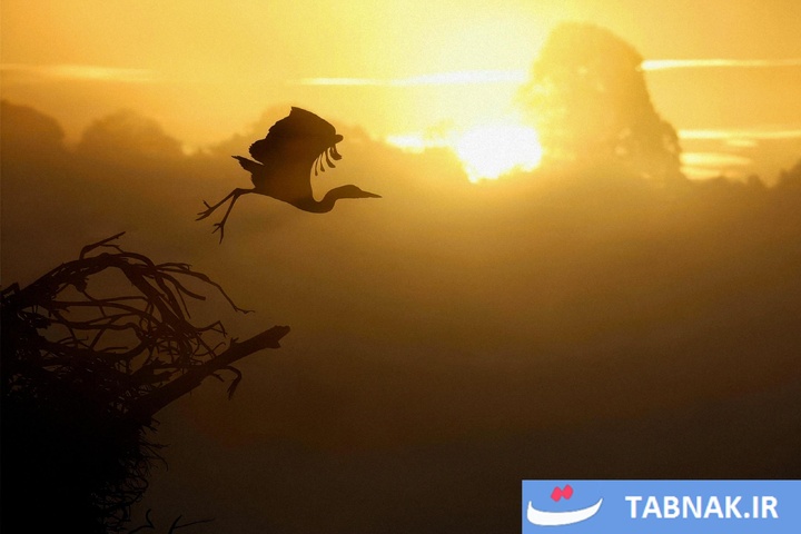 شکوه رنگ‌ها در چهار گوشه جهان