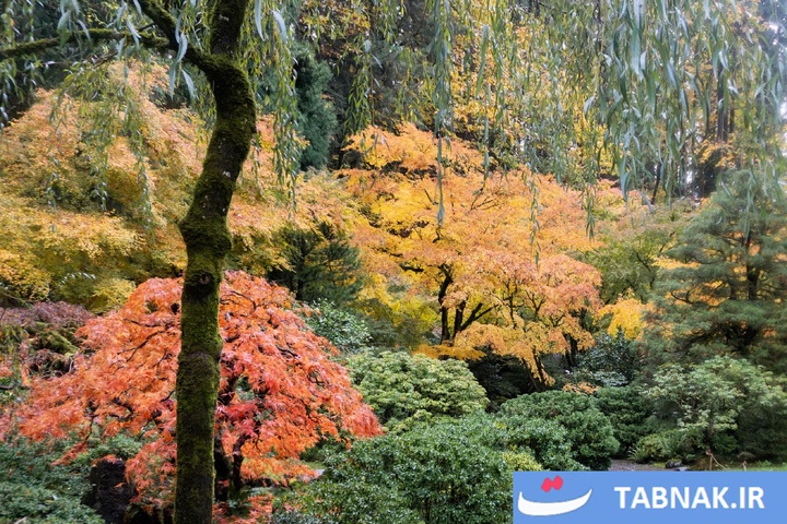 شکوه رنگ‌ها در چهار گوشه جهان