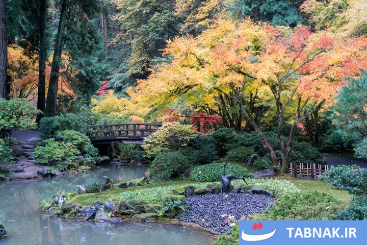 شکوه رنگ‌ها در چهار گوشه جهان