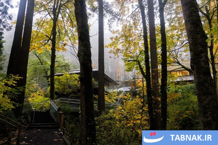 شکوه رنگ‌ها در چهار گوشه جهان