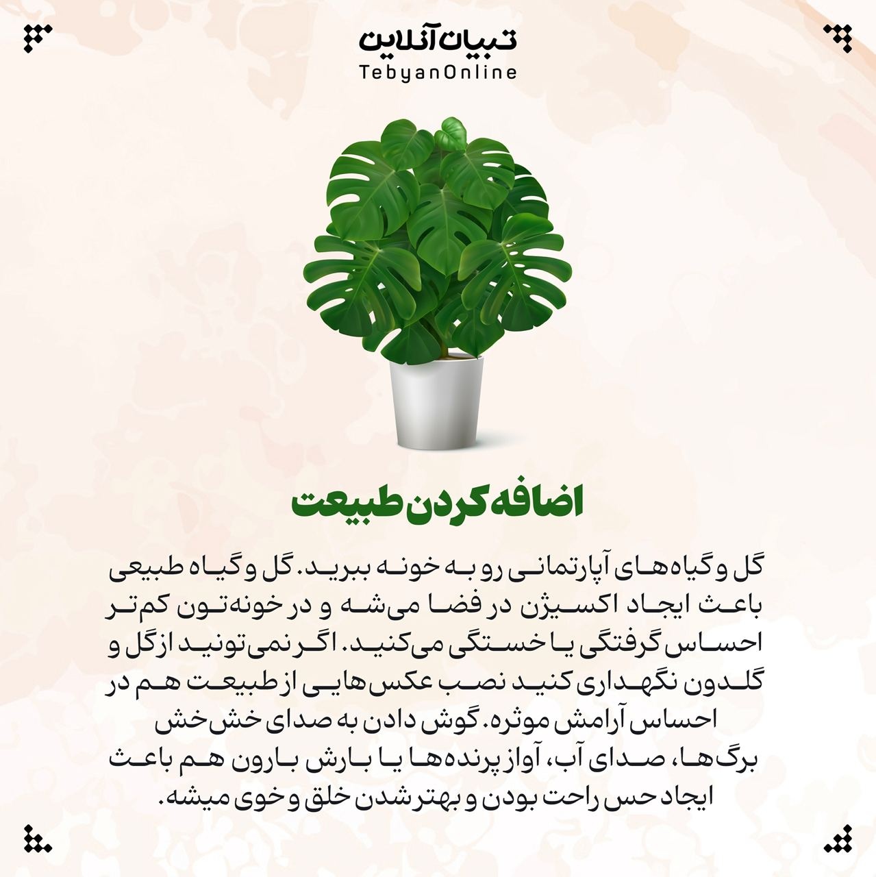 چطور خانههای کوچک را دلباز کنیم؟