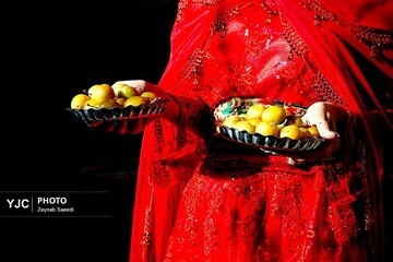 برداشت آلو در روستای حیدره قاضی خان همدان