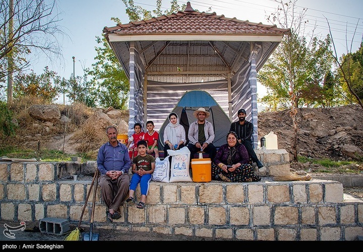 برداشت برنج در کامفیروز- فارس