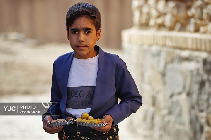 برداشت آلو در روستای حیدره قاضی خان همدان