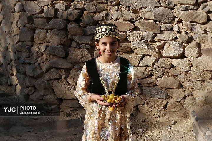 برداشت آلو در روستای حیدره قاضی خان همدان