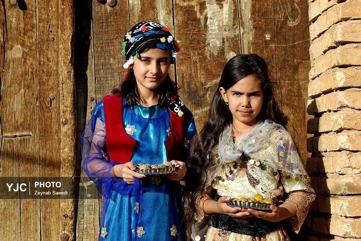 برداشت آلو در روستای حیدره قاضی خان همدان