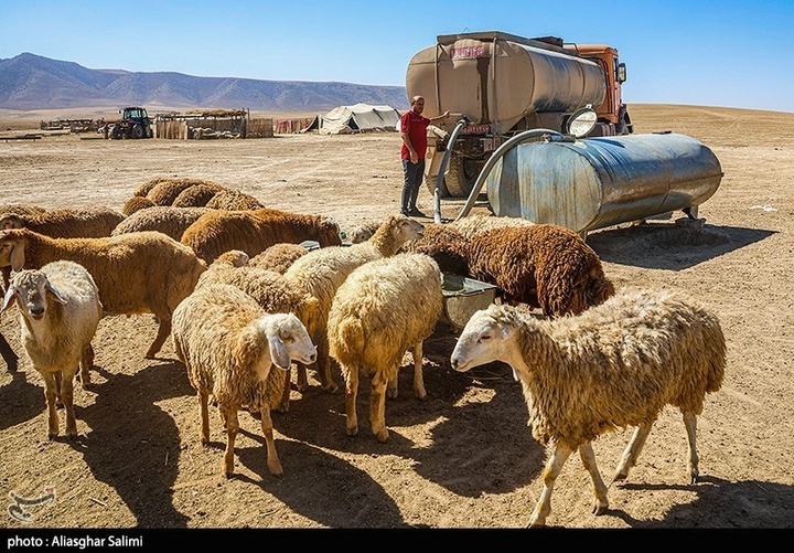 زندگی عشایری در خراسان شمالی