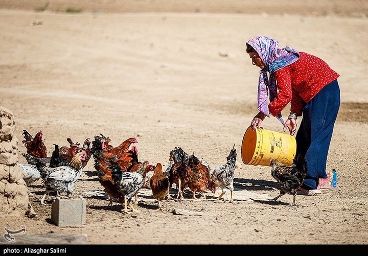 زندگی عشایری در خراسان شمالی