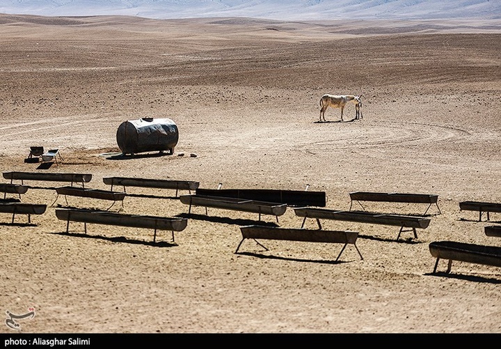 زندگی عشایری در خراسان شمالی