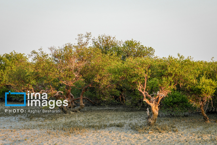ثبت جهانی روستای «سهیلی» جزیره قشم