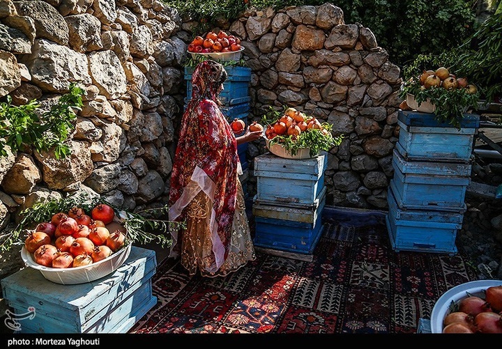 سومین جشنواره انار در شهرستان دزپارت