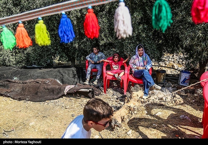 سومین جشنواره انار در شهرستان دزپارت