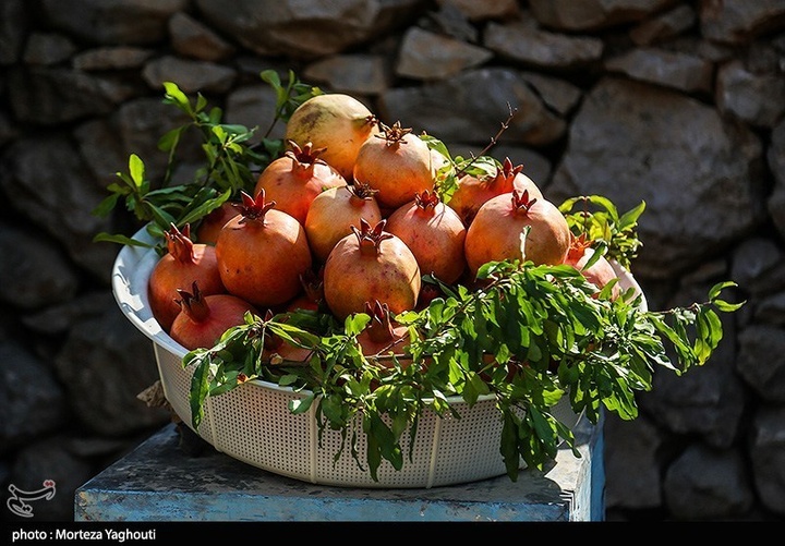 سومین جشنواره انار در شهرستان دزپارت