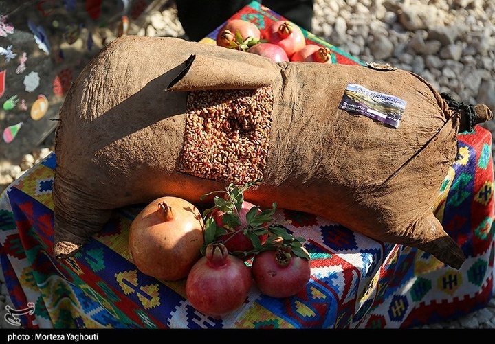 سومین جشنواره انار در شهرستان دزپارت