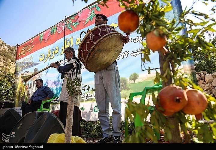 سومین جشنواره انار در شهرستان دزپارت
