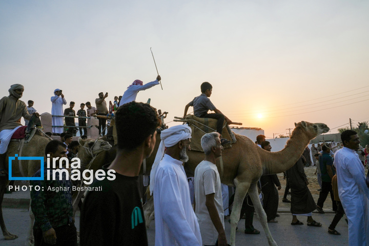 جشنواره «عیش جزیرتی» در روستای دهخدا