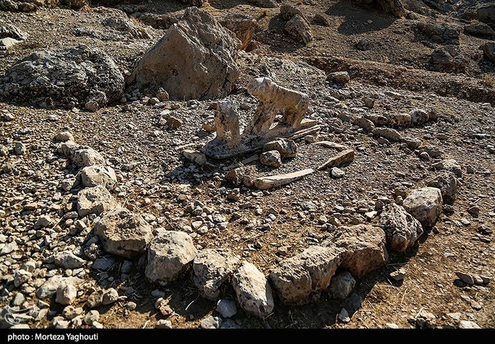 شیرهای سنگی ایذه