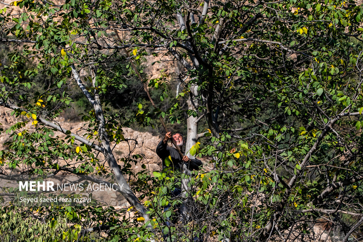 زندگی در روستای ترا