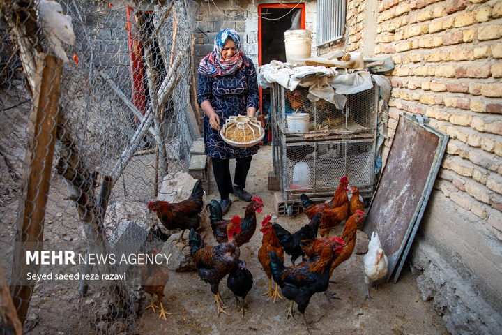 زندگی در روستای ترا
