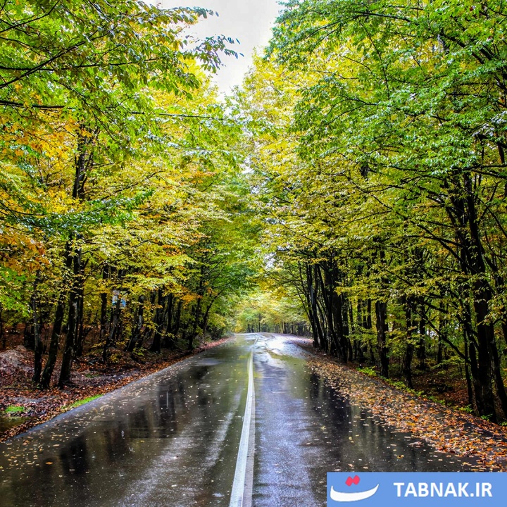 پاییز به روایت آب‌پری