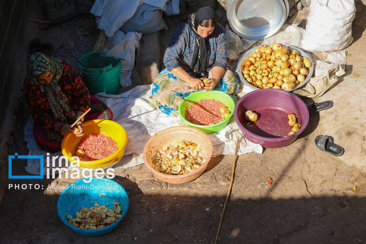 برداشت «اَنارِ مشایخ»
