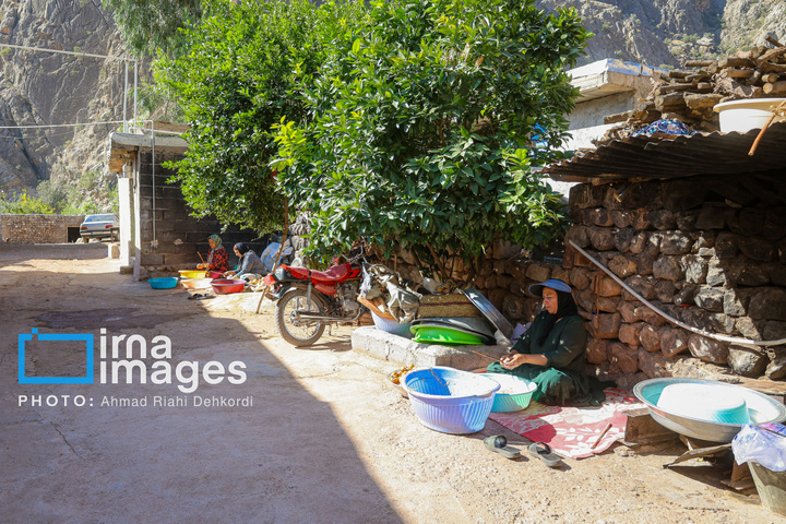 برداشت «اَنارِ مشایخ»