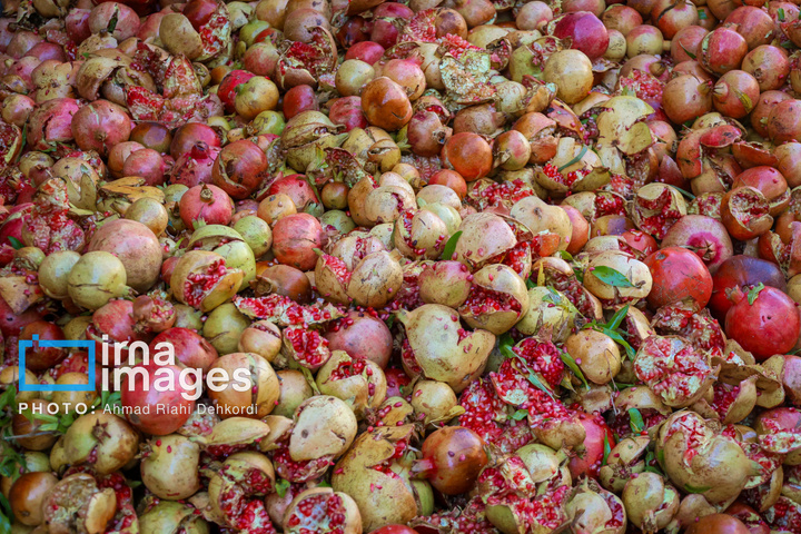 برداشت «اَنارِ مشایخ»