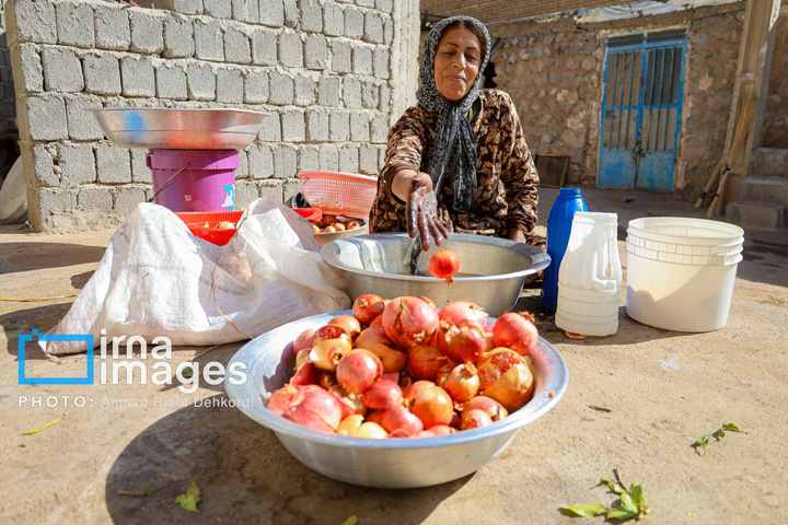 برداشت «اَنارِ مشایخ»