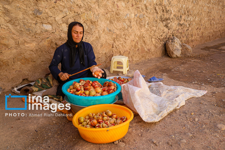 برداشت «اَنارِ مشایخ»