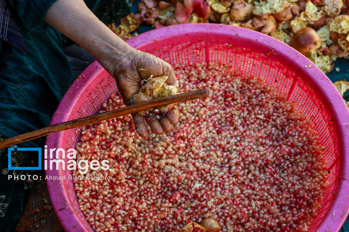 برداشت «اَنارِ مشایخ»