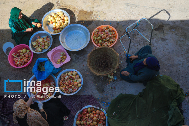 برداشت «اَنارِ مشایخ»