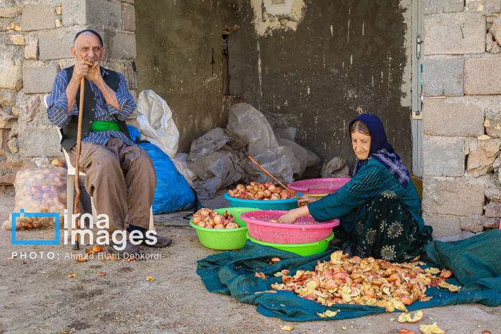 برداشت «اَنارِ مشایخ»