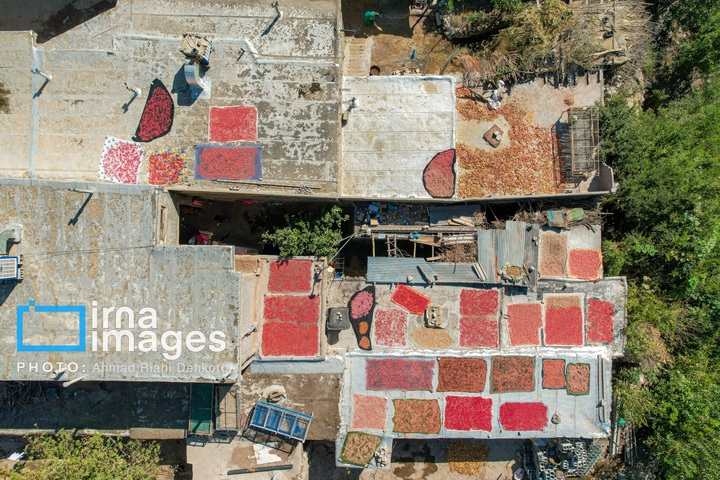 برداشت «اَنارِ مشایخ»