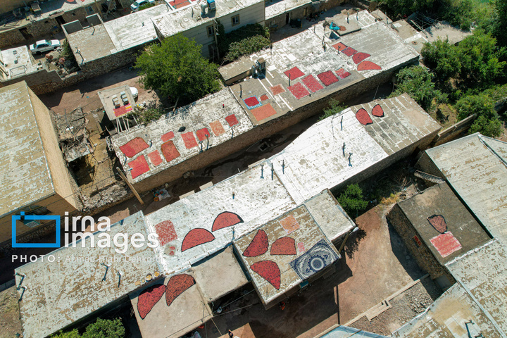 برداشت «اَنارِ مشایخ»