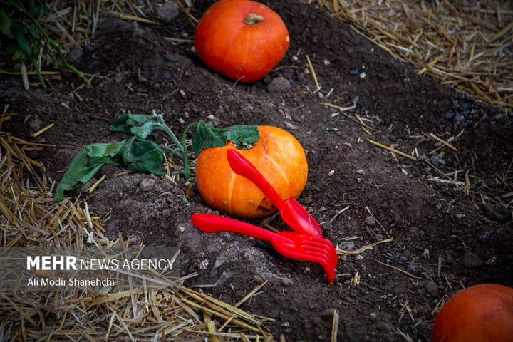 چهارمین جشنواره «طعم و رنگ پاییز» در مشهد
