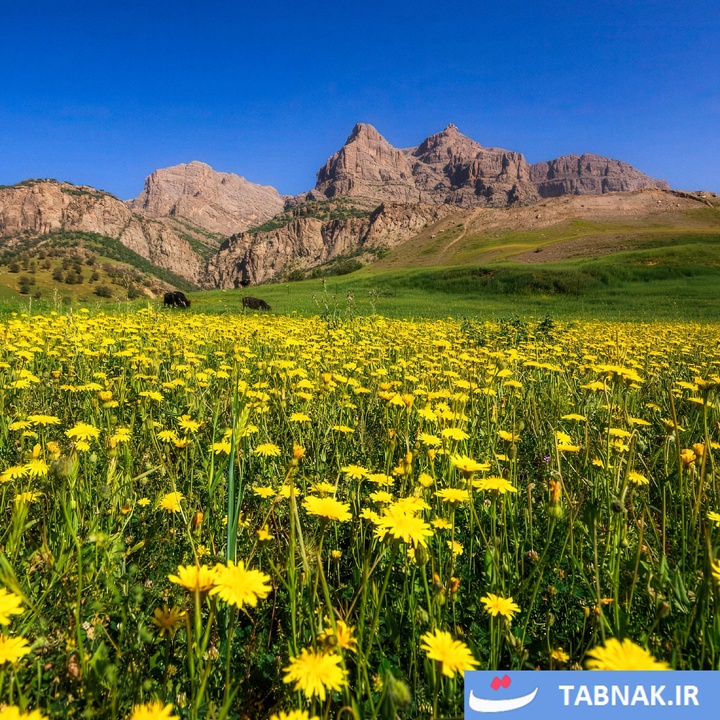 دورود، سرزمین شگفتی‌های طبیعت